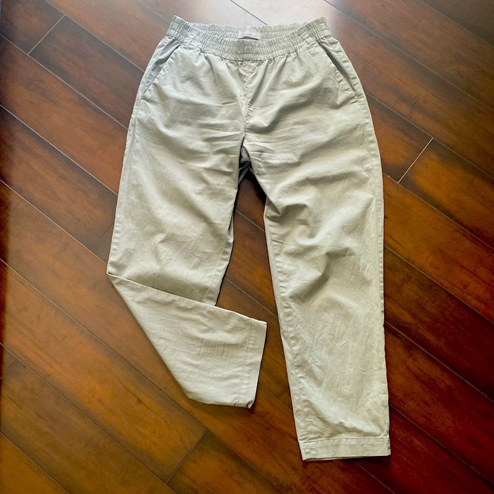 Everlane Easy Chino in discontinued Light sage color